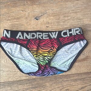 Andrew Christian Rainbow Zebra Briefs